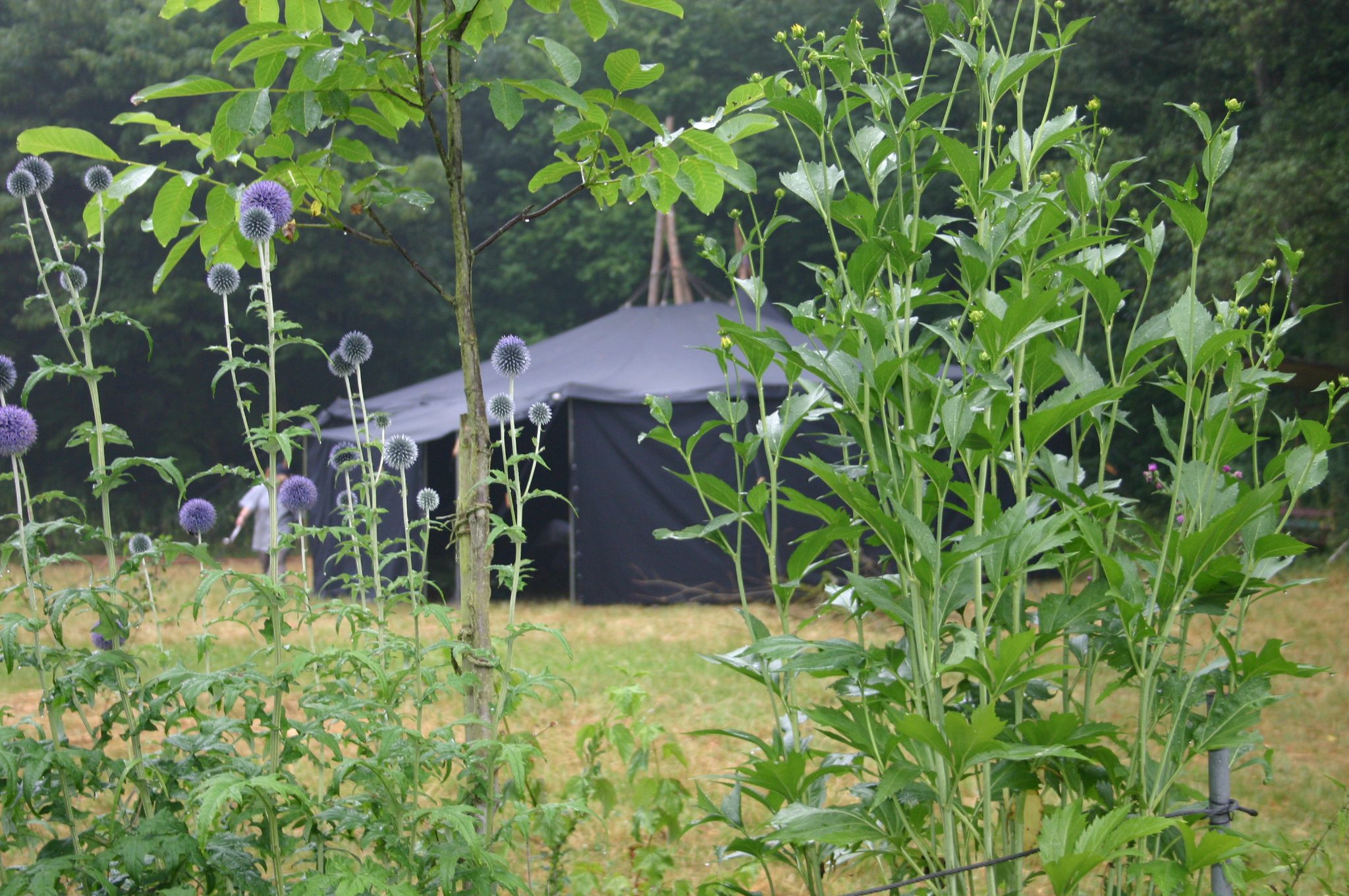 cropped-IMG_0167.jpg